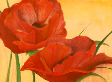 red-poppies